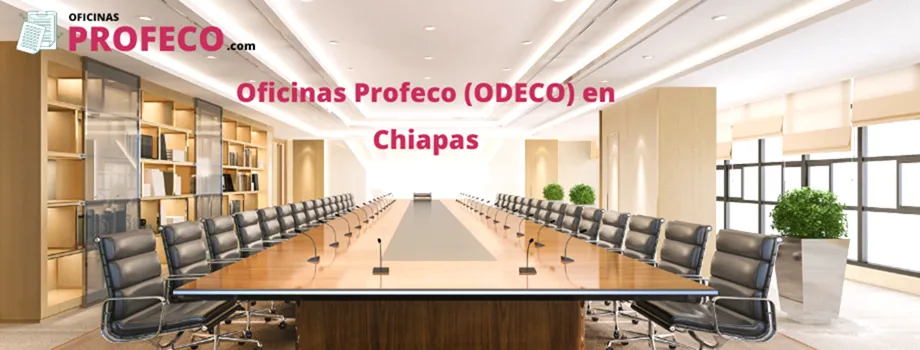 Delegación Profeco en Chiapas: Teléfonos, horario, direcciones y cómo presentar una denuncia o queja