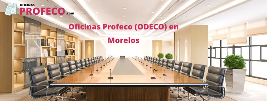 Delegación Profeco en Morelos: Teléfonos, horario, direcciones y cómo presentar una denuncia o queja